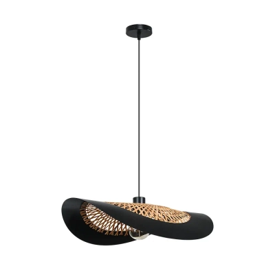 Подвесной светильник Arte Lamp WOODSTOCK A7059SP-1BK, 1хE27