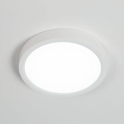 Citilux Бейсик CL738120N Светильник накладной Белый