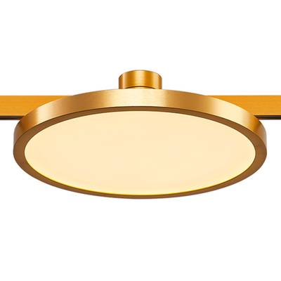 ST818.206.12 Магнитный трековый светильник FARM Золотистый LED 1*10W 3000K 520Lm Ra90 120 IP20 D168xH54 24V