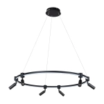 Подвесная люстра Arte Lamp RING A2186SP-1BK, 1хLED