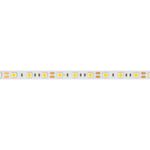 Лента RT-B60-10mm 12V Warm3000 (14.4 W/m, IP20, 5060, 5m) (Arlight, 14.4 Вт/м, IP20)