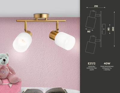 Настенно-потолочный спот TR3969/2 BS/FR латунь/белый матовый  E27*2 max 40W 260*80*210