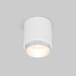 Накладной светодиодный светильник Cors 25032/LED 10W 4200K белый/серебро
