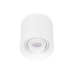 Светильник SP-ACENTO-R95-10W Warm3000 (WH, 20-45 deg, 230V) (Arlight, IP20 Металл, 5 лет)