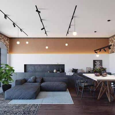 358626 SHINO NT21 065 черный Трековый низковольтный св-к диммируемый с ДУ, со сменой цв.температуры IP20 LED 3000~6500К 10W 48V FLUM