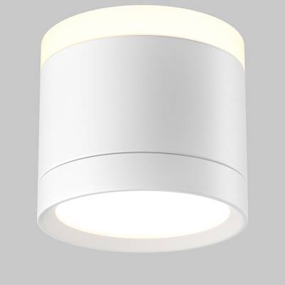 Потолочный светильник Pauline GX53 12Вт C120CL-GX53-W. TM Maytoni