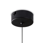 Подвесной светильник Ida FR6133PL-L4G, LED. TM Maytoni