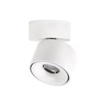 Citilux Стамп CL558010N LED Светильник накладной Белый