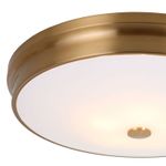 Потолочный светильник Pannikin 2375-5C. ТМ Favourite