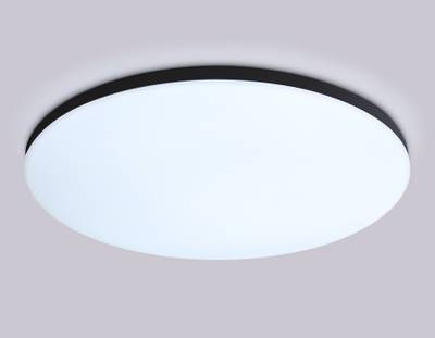 Потолочный светодиодный светильник с Wi-Fi Яндекс Алисой/Tuya/Smart Home/Alexa FZ2006 BK черный IP54 30W 3000K-6500K+RGB D450*60 (ПДУ ИК)