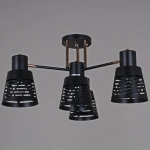 06074-3.3-04 BK+FG светильник потолочный Reluce, E27х4