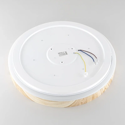 Citilux ENZO CL753452G LED RGB Светильник с пультом Клён