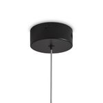 Подвесной светильник Awards FR6140PL-L12B1, LED. TM Maytoni