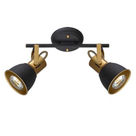 Спот Arte Lamp JOVI A1677PL-2GO, 2хE14