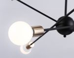 Подвесной светильник в стиле лофт TR80435/6 BK/GD черный/золото E27/6 max 60W D950*730