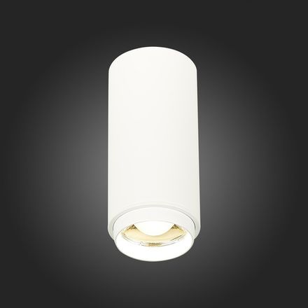 ST600.542.10 Светильник потолочный Zoom Белый LED 1*10W 4000K 1 000Lm Ra&gt;80 15-60° IP20 D59xH130 170-240VV