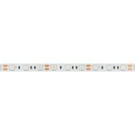 Светодиодная лента RT-B60-10mm 12V Blue (14.4 W/m, IP20, 5060, 5m) (Arlight, Открытый)
