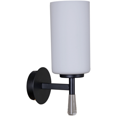 IL2218-1WLS-24 HIGHBALL светильник настенный ILLUMICO, E27х1