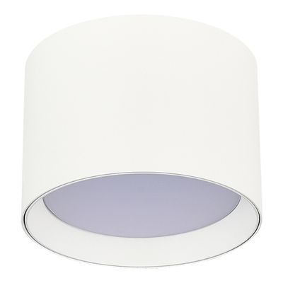 ST163.502.01.02 Светильник потолочный Белый GX53 1*50W IP20 D85xH60 220V Без ламп