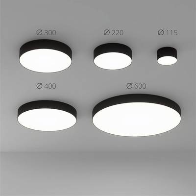 Потолочный светильник Arte Lamp FADO A7335PL-1BK, 1хLED