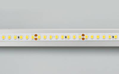 Лента RT 2-5000 24V Day5000 2x (2835, 160 LED/m, LUX) (Arlight, 12 Вт/м, IP20)