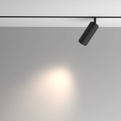 Трековый светильник Artisan Exility 4000K 12Вт 36°, TR097-2-12W4K-M-BB. TM Maytoni