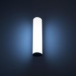 Citilux CLU0007 LED Уличный светильник Графит