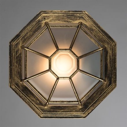 Уличный потолочный светильник Arte Lamp PEGASUS A3121PF-1BN, 1хE27