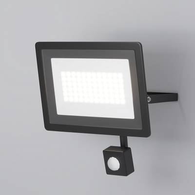 Прожектор Flood 6500К 50Вт IP 65, FL001-L50B6KSR. TM Maytoni