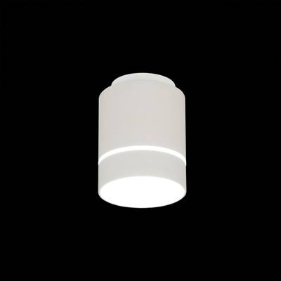 Citilux Борн CL745010N LED Светильник накладной Белый