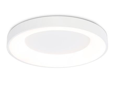 Потолочный светодиодный светильник FZ1401 WH белый IP20 48W 3000K-6500K D500*50 (ПДУ ИК)