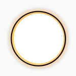 Citilux ETALON CL750241 LED Светильник с подсветкой Чёрный+Золото