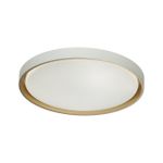 7645/DL COLOR SN 104 Светильник пластик/белый/оранжевый LED 48Вт 4000К D415 IP43 KISIL