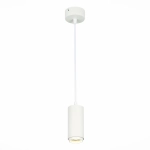 ST600.543.10 Светильник подвесной Zoom Белый LED 1*10W 4000K 1 000Lm Ra>80 15-60° IP20 D59xH130 170-240VV