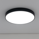 Citilux Купер CL72495G1 LED RGB Светильник с пультом Чёрный