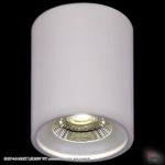 81117-9.5-001RT LED10W WT светильник точ. накладной