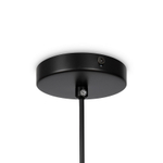 Подвесной светильник Eleon FR5218PL-01B1, E27х1. TM Maytoni
