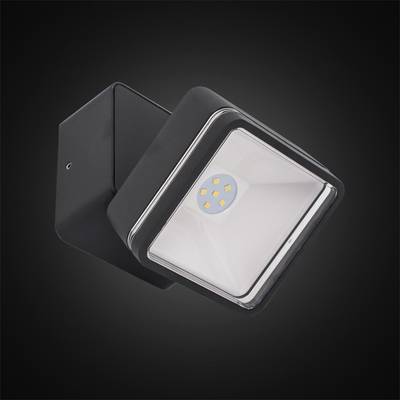 Citilux CLU0008K LED Уличный светильник поворотный Графит