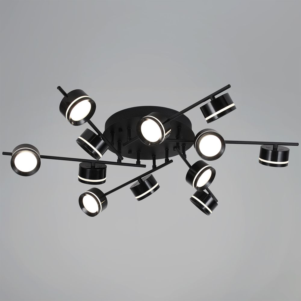 10590-0.3-12 Black светильник потолочный