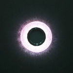 14350-9.0-001LD MR16+LED3W PK светильник точечный Reluce, GU5.3х1