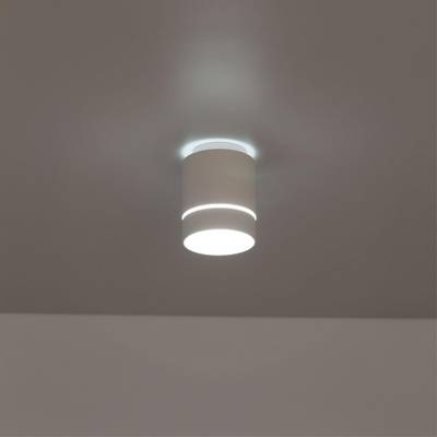 Citilux Борн CL745010N LED Светильник накладной Белый