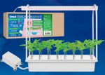 ULT-P44C-10W/SPLE IP20 AQUA WHITE Набор для гидропоники "Минисад AQUA", светильник для растений светодиодный с подставкой и компрессором. Спектр для фотосинтеза. Белый. TM Uniel