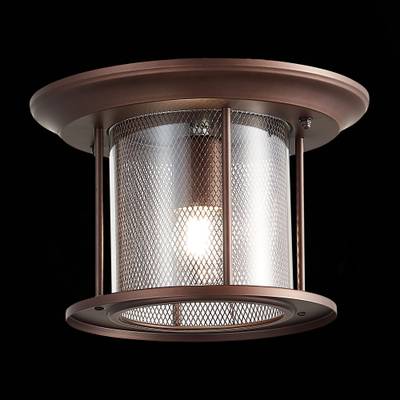 SL080.402.01 Светильник уличный потолочный ST-Luce Темный кофе/Прозрачный, Темный кофе E27 1*60W