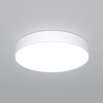 Потолочный светодиодный светильник 90320/1 белый, LED
