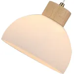 Подвесной светильник Arte lamp CAPRICE A4184SP-1BR, 1хE27