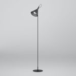 Напольный светильник со стеклянным плафоном 01187/1 черный