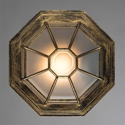Уличный потолочный светильник Arte Lamp PEGASUS A3121PF-1BN, 1хE27