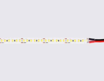 Светодиодная лента GS3213 2835 180Led/ 14.4W m/ 24V IP20 6500K/ 5000*10*1.2mm/ кратность резки 33mm (2 конт.)