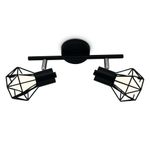 Настенно-потолочный спот в стиле лофт TR8621/2 BK/CH черный/хром E27*2 max 40W 260*91*175