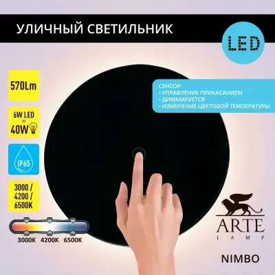 Фасадный светильник Arte Lamp NIMBO A4506AL-1BK, 1хLED